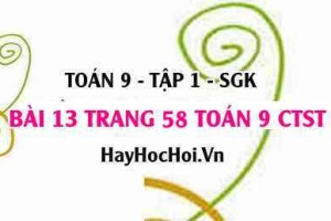 Bài 13 trang 58 Toán 9 tập 1 Chân trời sáng tạo